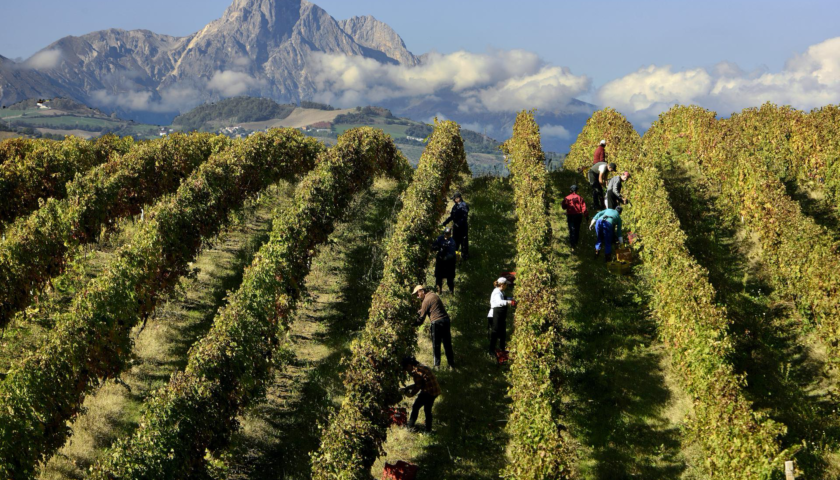 L'Abruzzo si racconta attraverso i suoi vini