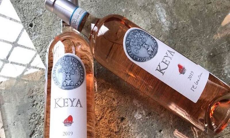 Guerrieri Rizzardi presenta le nuove etichette dei nuovi vini classici