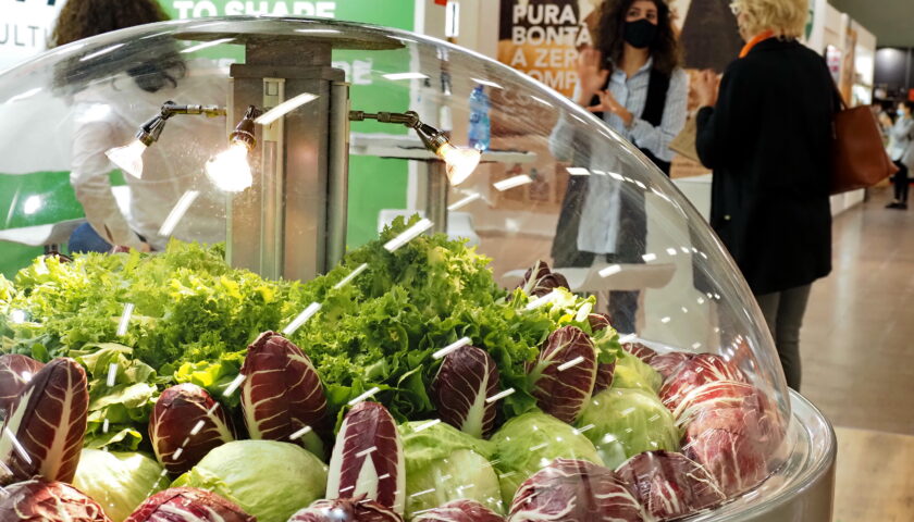 A Bologna dal 9 settembre la 33° edizione di SANA, Salone internazionale del biologico e del naturale