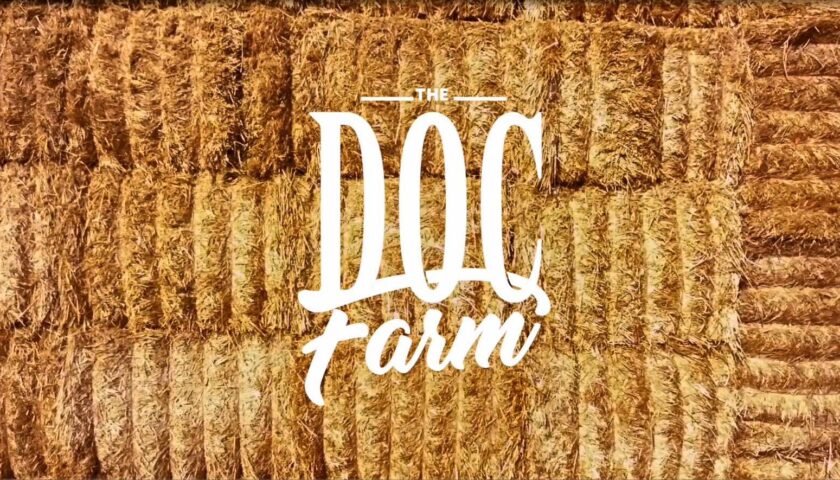 A THE DOC FARM protagonista la Mozzarella di Bufala 