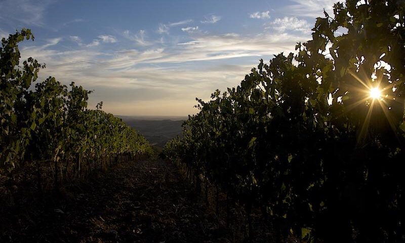 L’anno si apre con il debutto de L’Altra Toscana