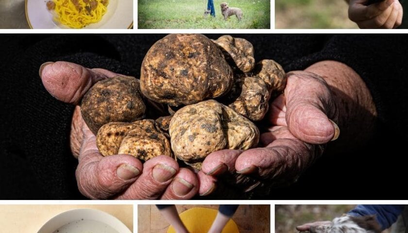 Il tartufo italiano è ufficialmente Patrimonio Immateriale UNESCO