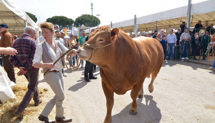 Dall’1 al 3 aprile 2022 la 53^ edizione di Agriumbria