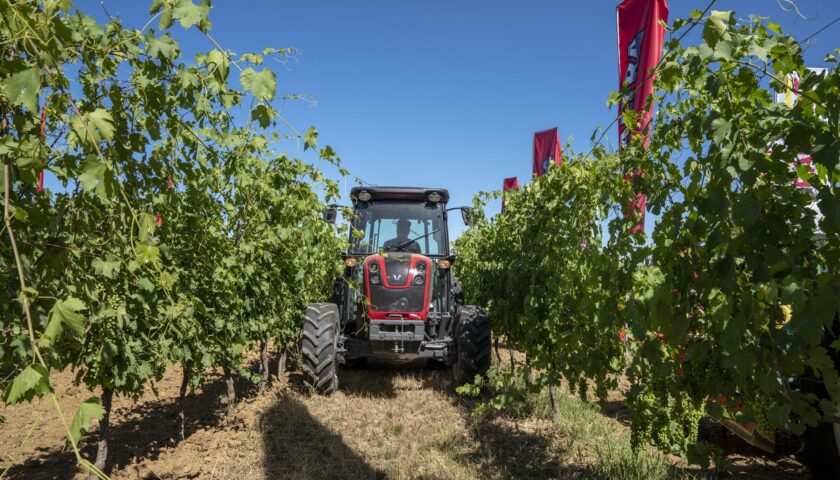 Il 23 giugno ritorna Enovitis in campo
