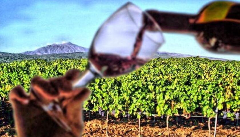 Il mercato del vino nella distribuzione moderna. Dopo un 2021 positivo incertezza per il 2022