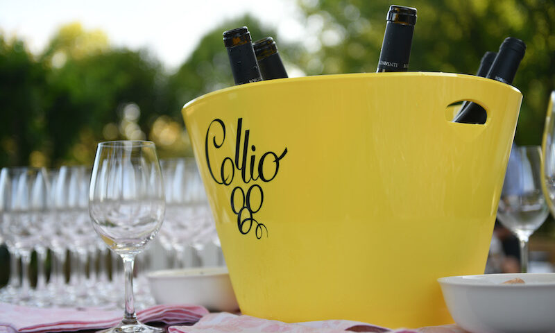Il Consorzio di Tutela Vini Collio continua il suo percorso all’insegna della sostenibilità ambientale