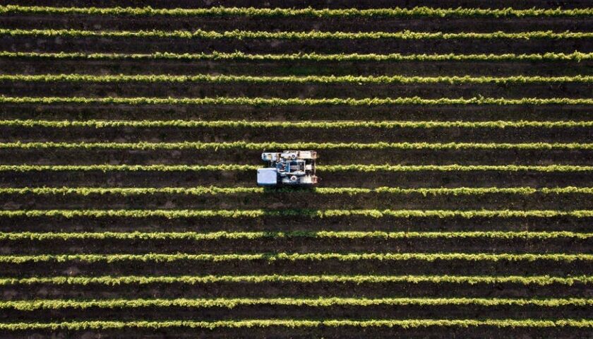 Ucraina: Cia, l’agricoltura non può fermarsi. Subito interventi per il settore