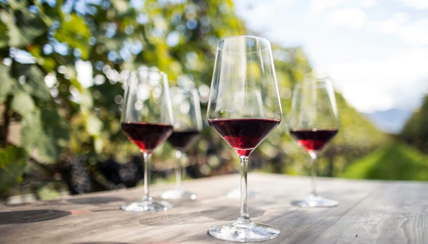 Iniziato il conto alla rovescia per la 24ª Edizione delle giornate altoatesine del Pinot Nero