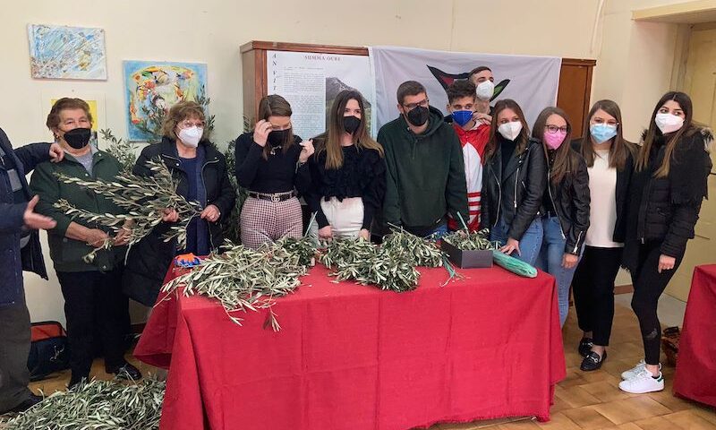 Le Città dell’Olio donano 85mila ramoscelli di olivo per la pace in Ucraina