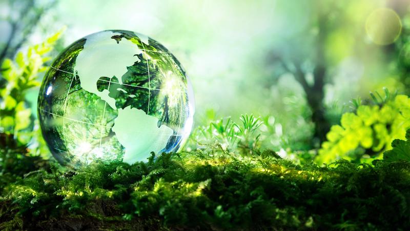 Giornata mondiale della biodiversità l’appello di Slow Food