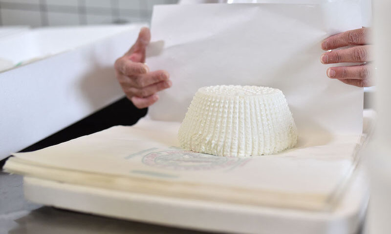 Da Bruxelles l’OK al Nuovo Disciplinare della Ricotta di Bufala Campana DOP