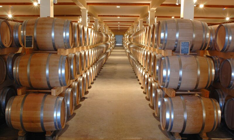 Vi.V.O. Cantine, 2022: anno straordinario, risultati in grado di creare futuro per i soci e il territorio