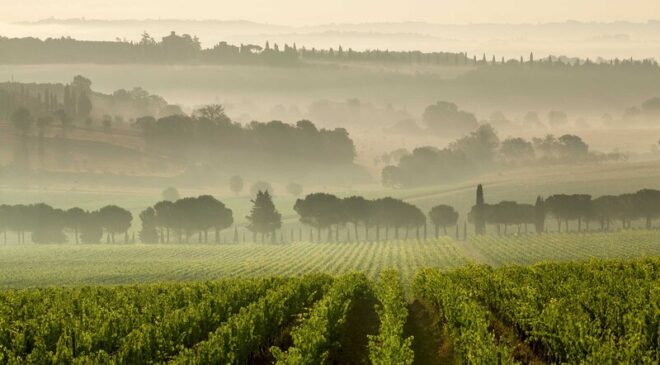 Un country break dalla Tenuta Carpineto a Montepulciano Un country break dalla Tenuta Carpineto a Montepulciano