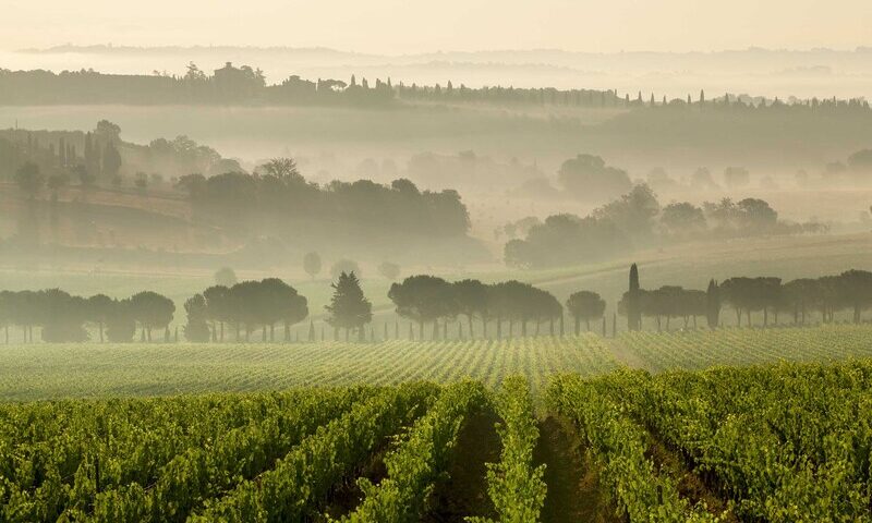 Un country break dalla Tenuta Carpineto a Montepulciano