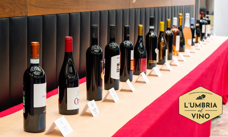 L’Umbria del vino: i vincitori della 2ª edizione