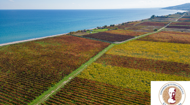 Appuntamento a Vinitaly 2023 con il Consorzio di Tutela Vini DOC Cirò e Melissa Appuntamento a Vinitaly 2023 con il Consorzio di Tutela Vini DOC Cirò e Melissa