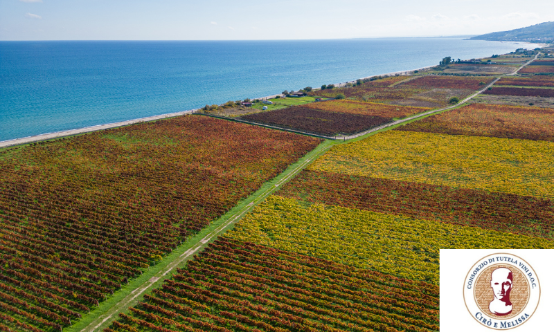 Appuntamento a Vinitaly 2023 con il Consorzio di Tutela Vini DOC Cirò e Melissa