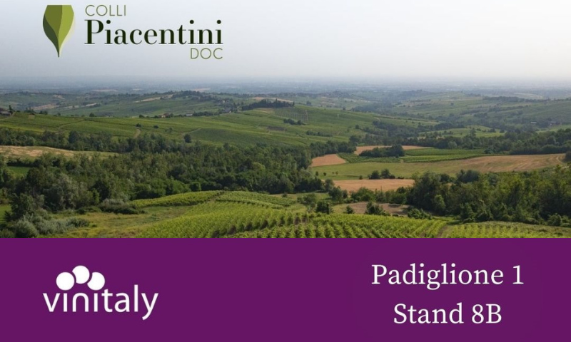 Un grande passato, un futuro migliore: sale l’attesa per i vini piacentini a Vinitaly