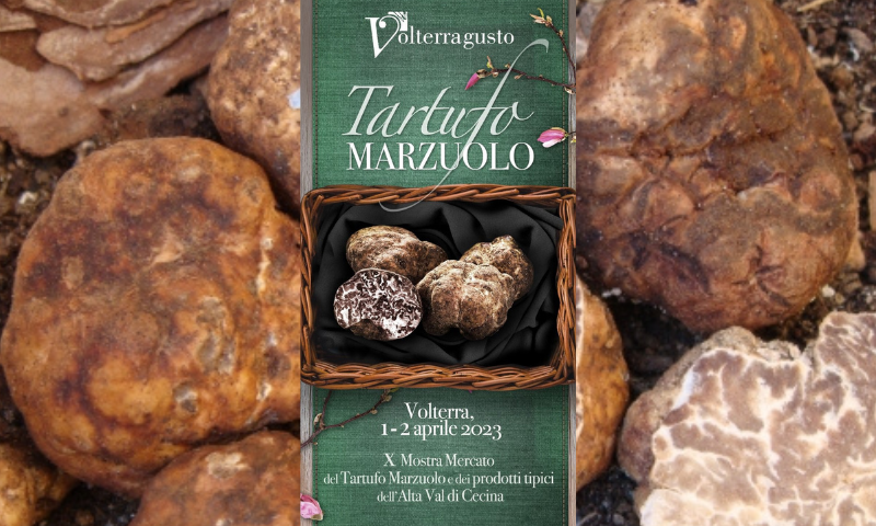 10ª edizione mercato del tartufo marzuolo