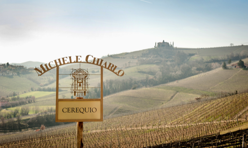 Barolo Cerequio 2019 di Michele Chiarlo: una storia che parla al futuro
