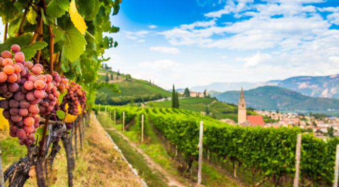 Splendidi itinerari enologici nell’Alto Adige