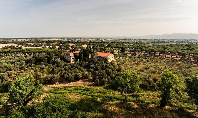 Argentiera presenta la nuova annata del vino