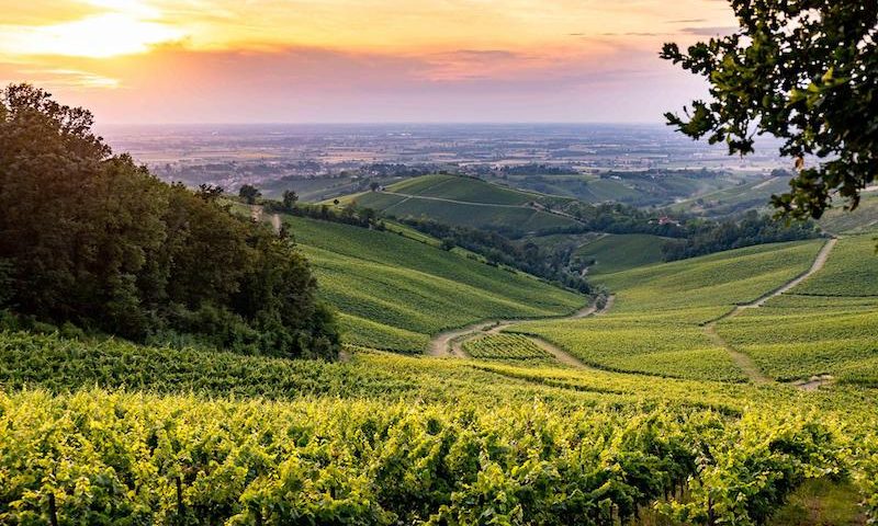 3^ edizione di Oltrepò – Terra di Pinot Nero: un territorio, un vitigno, due eccellenze