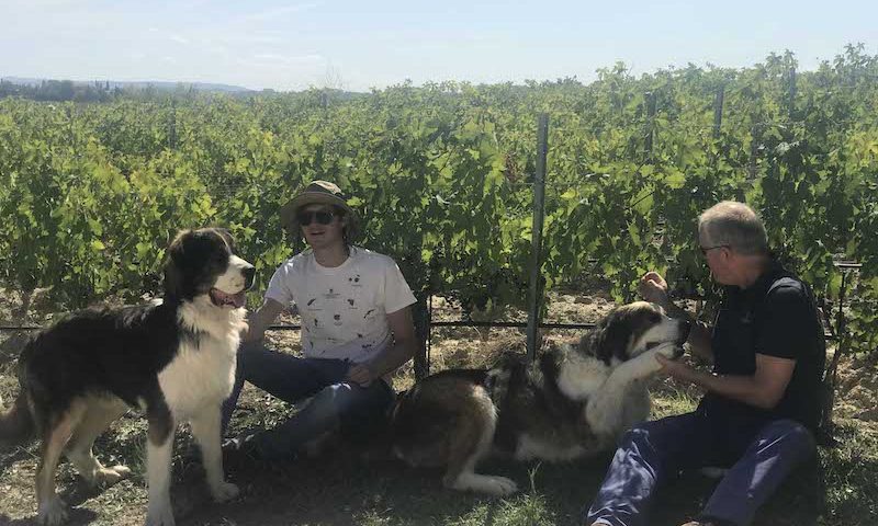 CARPINETO e i 4 zampe della Tenuta di Montepulciano