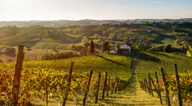 Frasca La Guaragna affida la distribuzione a Pellegrini S.p.A. Frasca La Guaragna affida la distribuzione a Pellegrini S.p.A.