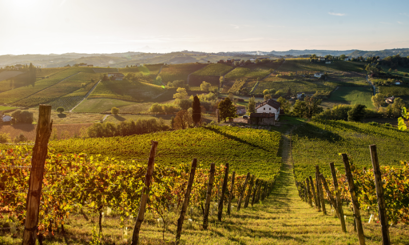 Frasca La Guaragna affida la distribuzione a Pellegrini S.p.A.