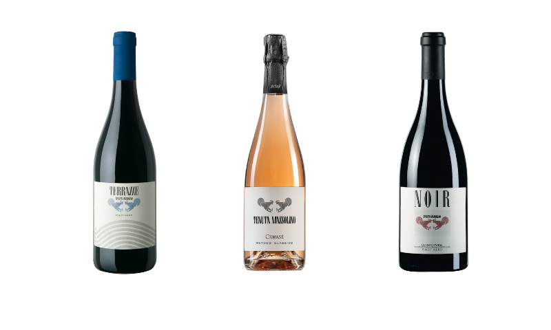 Oltrepò Terra del Pinot Nero: Tenuta Mazzolino