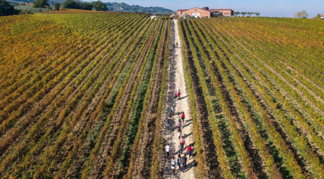 4° edizione Sagrantino Running