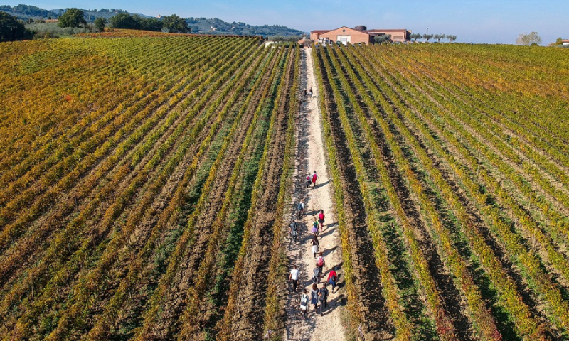 4° edizione Sagrantino Running