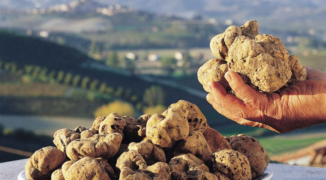 Volterragusto: “Tartufo & il cibo, storia di un territorio” Volterragusto: “Tartufo & il cibo, storia di un territorio”