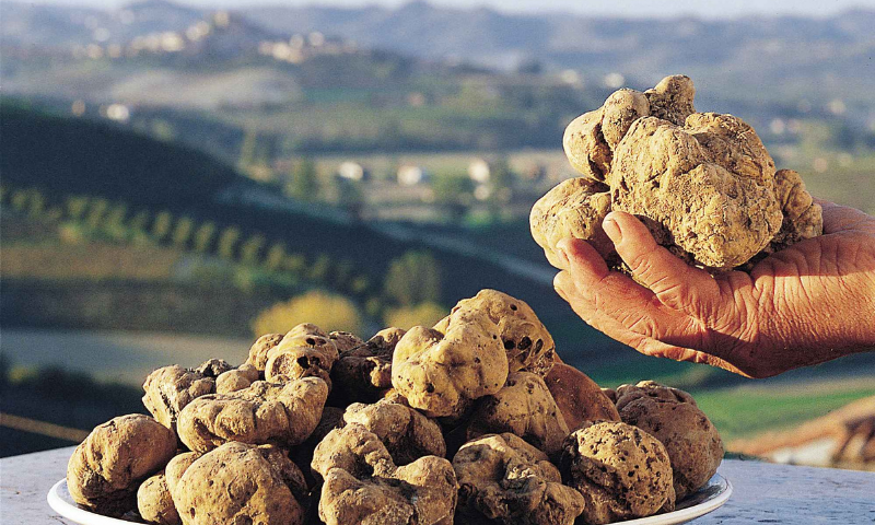 Volterragusto: “Tartufo & il cibo, storia di un territorio”