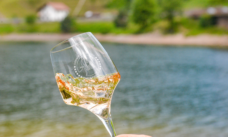 Consorzio Tutela Vini Doc delle Venezie riconferma a Wine Paris & Vinexpo Paris
