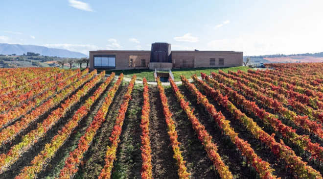 Cantine Briziarelli di Bevagna: evento-esperimento soprattutto per i giovani Cantine Briziarelli di Bevagna: evento-esperimento soprattutto per i giovani