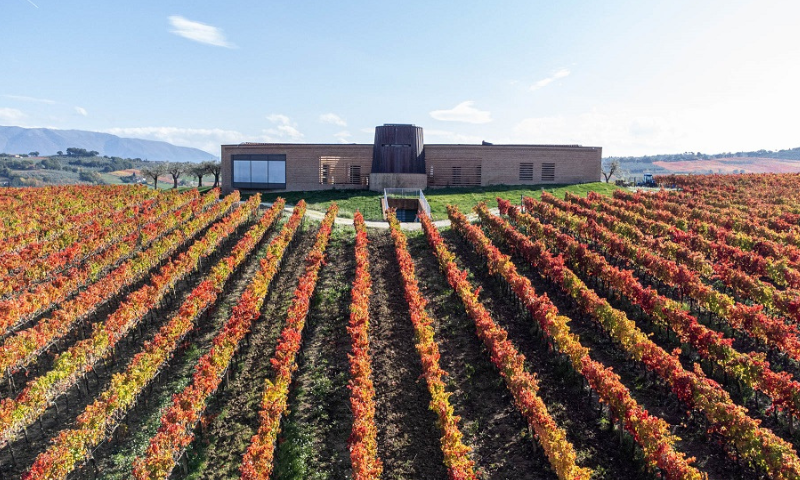 Cantine Briziarelli di Bevagna: evento-esperimento soprattutto per i giovani