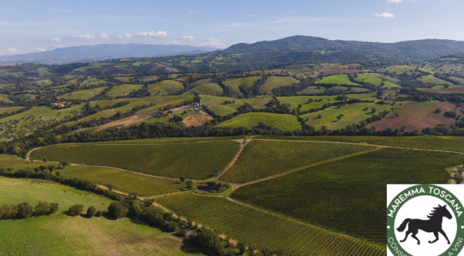 Nuovo marchio consortile DOC Maremma Toscana