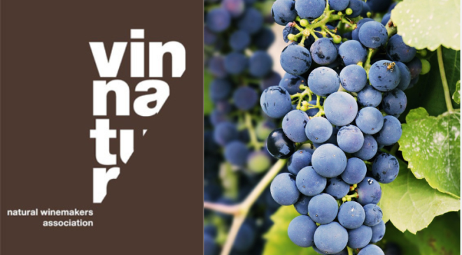 VinNatur Tasting 2024 VinNatur Tasting 2024