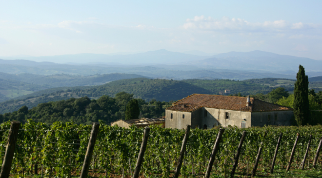 Consorzio Tutela Vini Montecucco a Vinitaly 2024 Consorzio Tutela Vini Montecucco a Vinitaly 2024