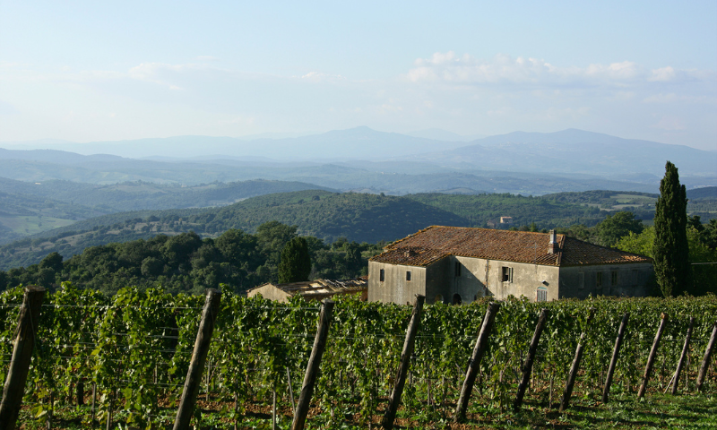 Consorzio Tutela Vini Montecucco a Vinitaly 2024
