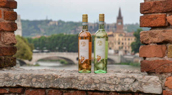 Pinot Grigio delle Venezie DOC: continua con successo il tour promozionale