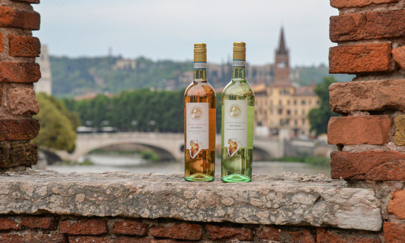 Pinot Grigio delle Venezie DOC: continua con successo il tour promozionale