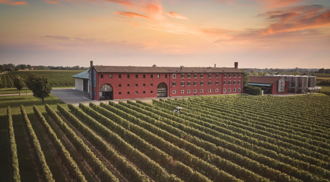 Arte e vino La Cantina Le Monde
