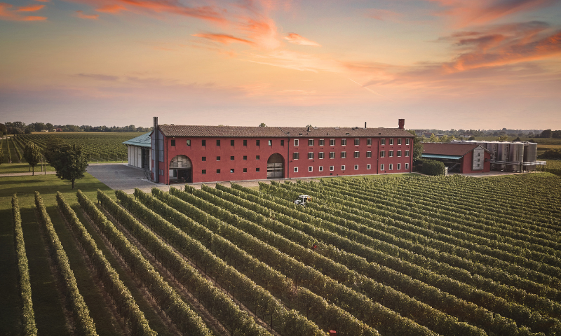 Arte e vino La Cantina Le Monde