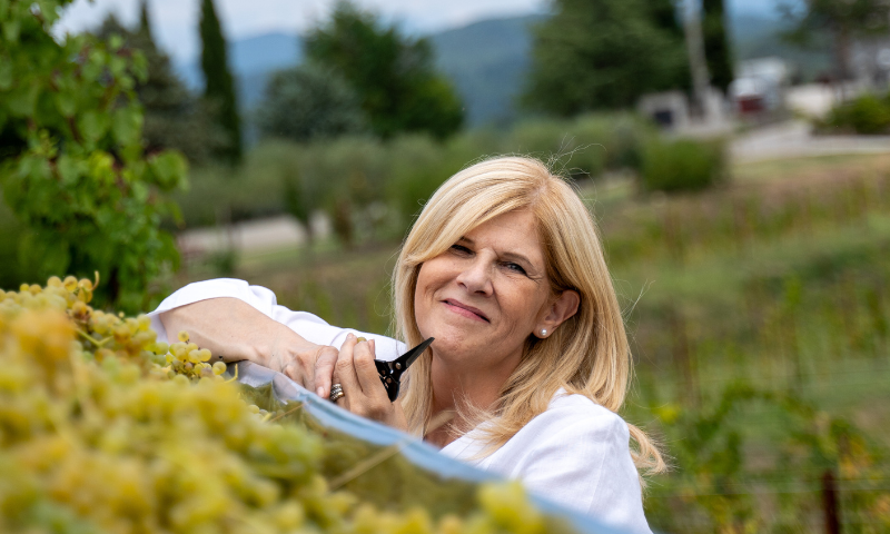Zorzettig: grandi aspettative vendemmia 2024