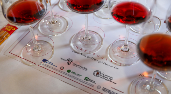 Oltrepò – Terra di Pinot Nero