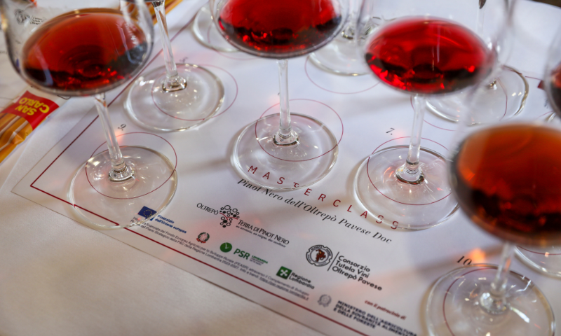 Oltrepò – Terra di Pinot Nero