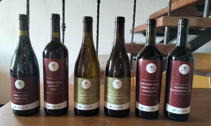 I vini di UmbriaTop in TV